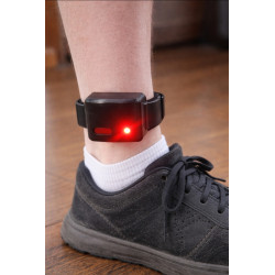 House Arrest Ankle Bracelet-FAKE for Prop or Pranks Only