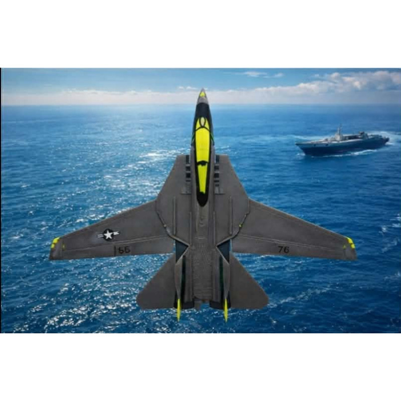 F-14 Tomcat Fighter Jet