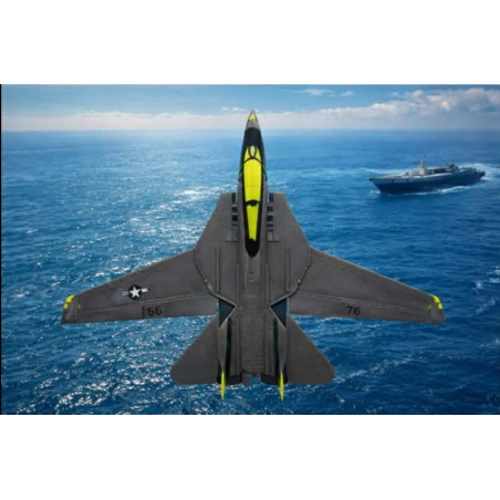 F-14 Tomcat Fighter Jet