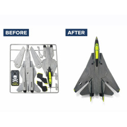 F-14 Tomcat Fighter Jet