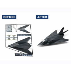 F-117 Nighthawk Stealth Fighter