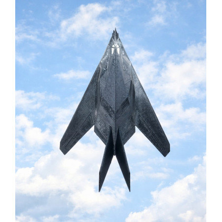 F-117 Nighthawk Stealth Fighter