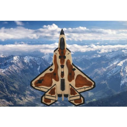 F-22 Raptor Fighter Jet