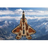 F-22 Raptor Fighter Jet