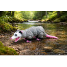 Opossum