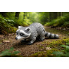 Raccoon