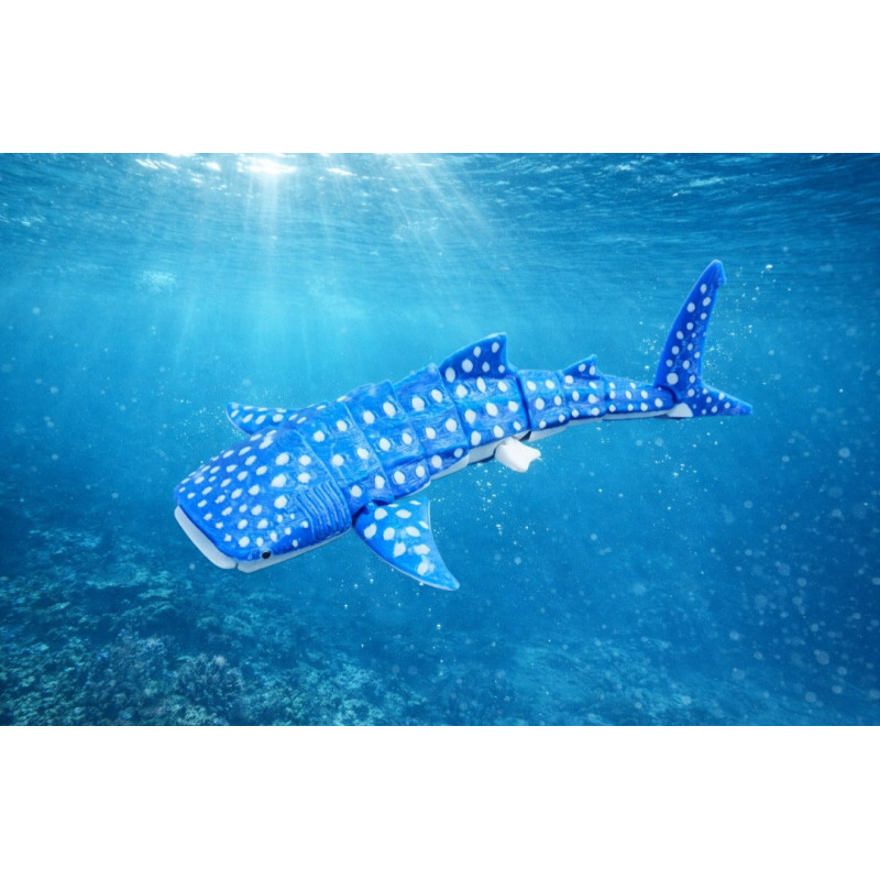Whale Shark