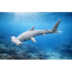 Hammerhead Shark