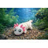 Axolotl
