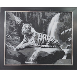Majestic Tiger