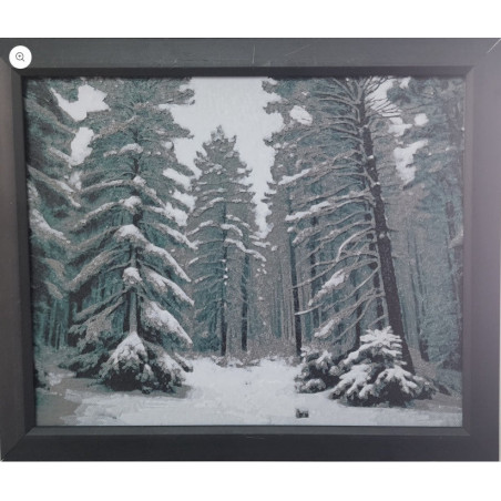 Winter Wonderland