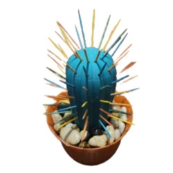 Cactus Toothpick Holder